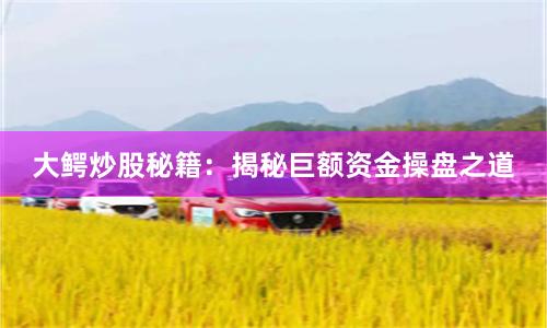 大鳄炒股秘籍：揭秘巨额资金操盘之道