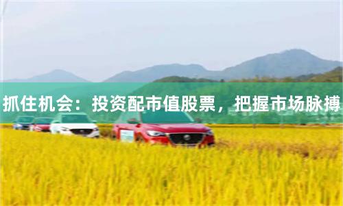 抓住机会：投资配市值股票，把握市场脉搏
