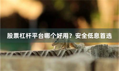 股票杠杆平台哪个好用？安全低息首选